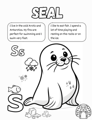 Seal, foca en inglés